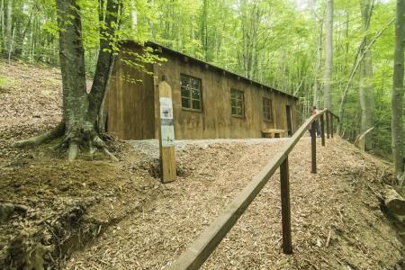 Podelitev priznanj nagrajencem projekta Moja dežela - lepa in gostoljubna 2010 24